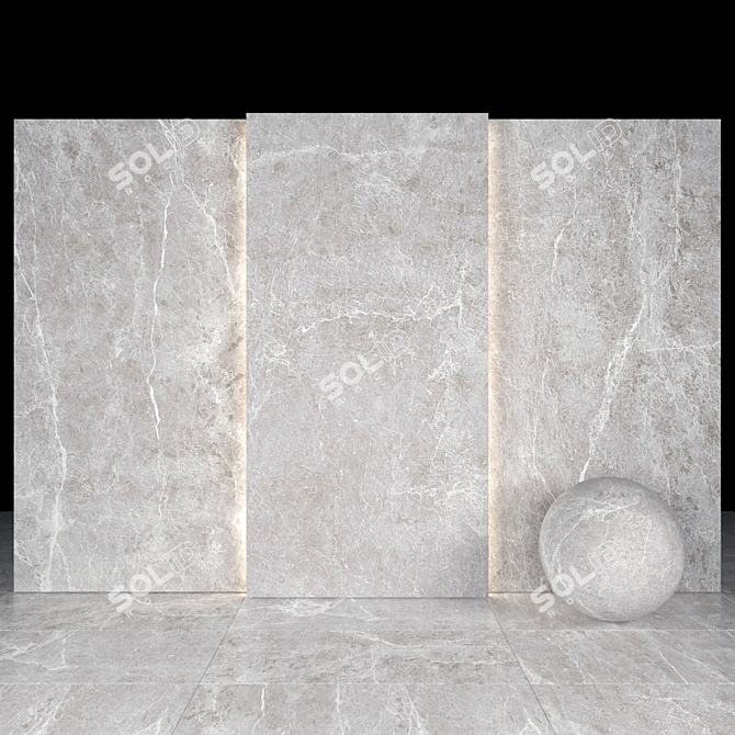 Elegant Spider Gray Marble Slabs 3D model image 1