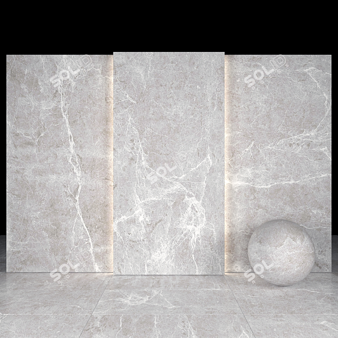 Elegant Spider Gray Marble Slabs 3D model image 2