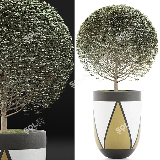 Exotic Bonsai Plants Collection 3D model image 2