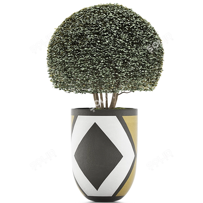 Exotic Bonsai: Ligustrum Ovalifolium 3D model image 2