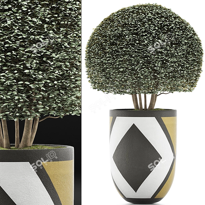 Exotic Bonsai: Ligustrum Ovalifolium 3D model image 4