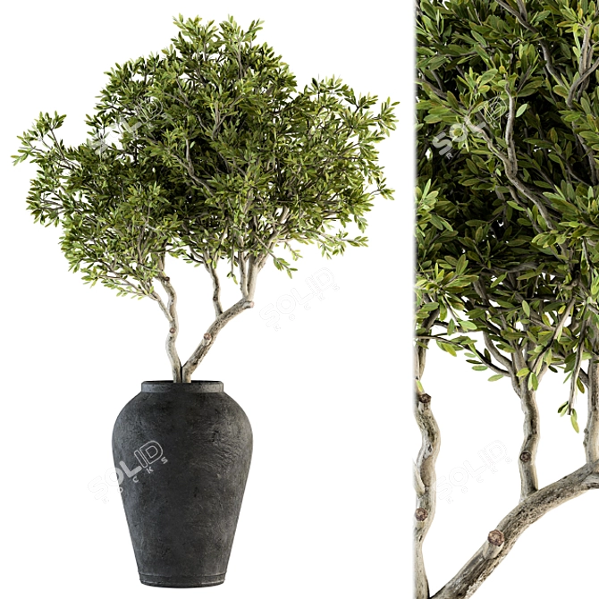 Nature's Oasis: Indoor Plant Set 3D model image 1