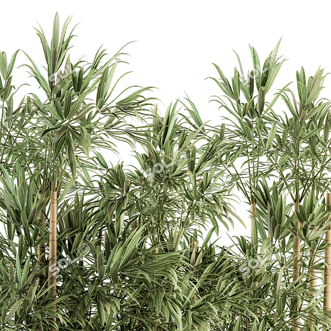 Green Oasis: Bamboo Bliss in Box 3D model image 4