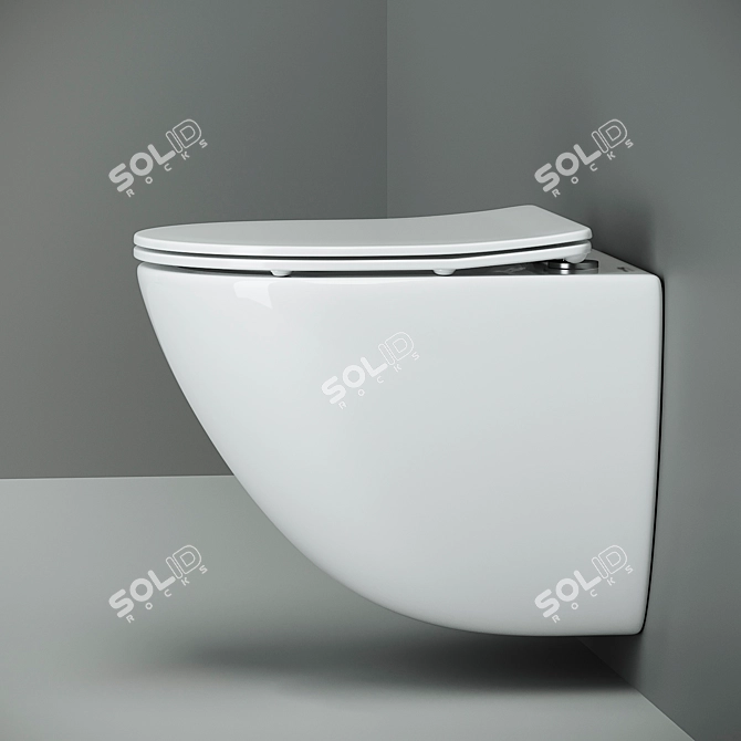 Suspended Washdown Mono - Ceramica Nova 3D model image 4