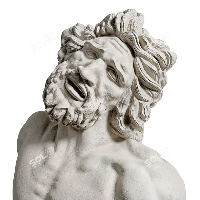 Roman Laocoon Bust Sculpture 3D model image 2