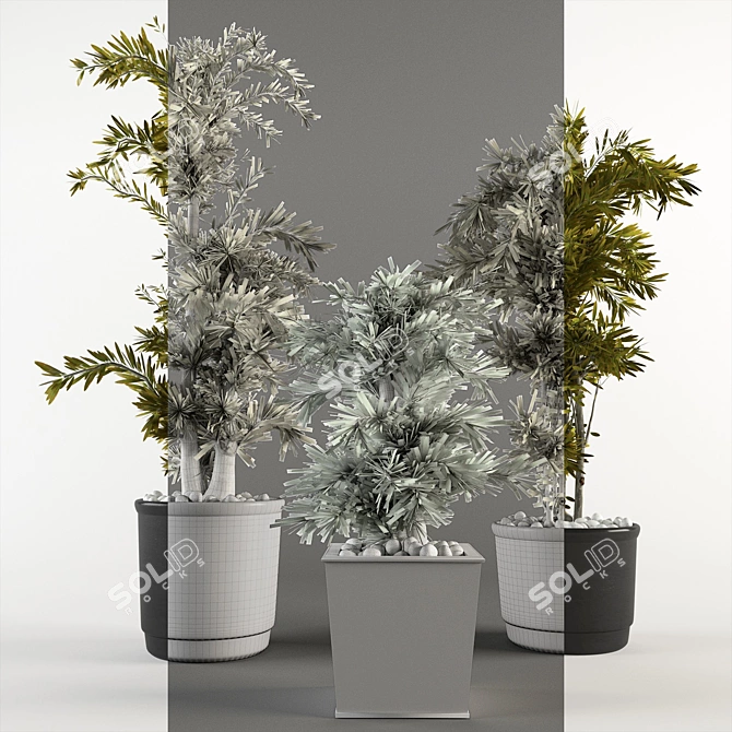 Indoor Plant Collection: 3D & High Quality 3D model image 3