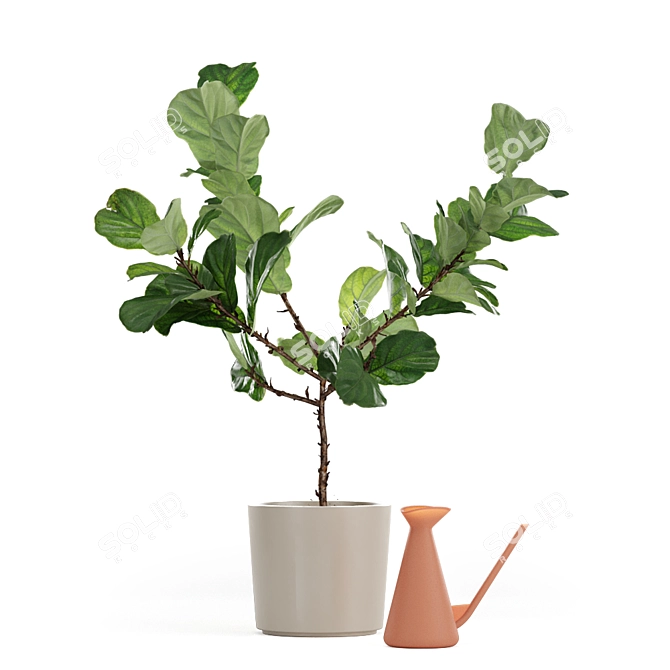 Realistic Fiddle-Leaf Fig 3D Model 3D model image 8