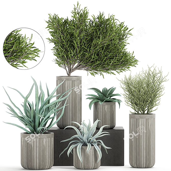 Tropical Oasis: Exotic Plants & Stylish Concrete Planters 3D model image 1