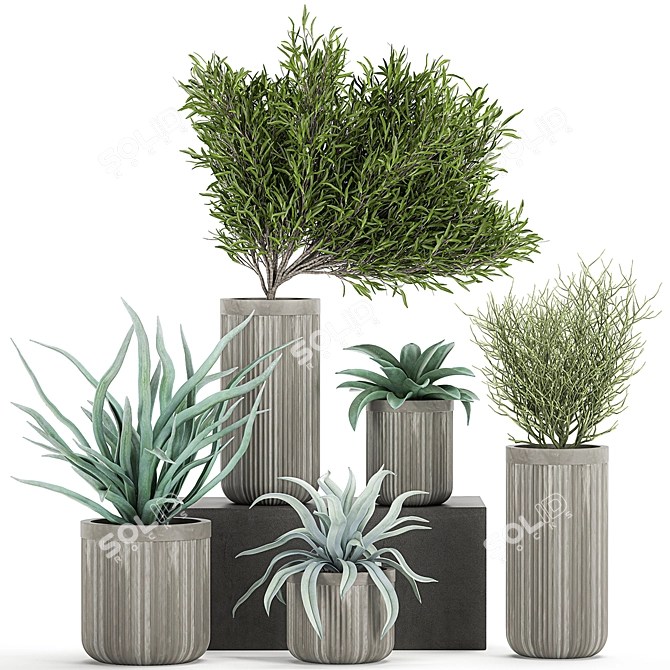 Tropical Oasis: Exotic Plants & Stylish Concrete Planters 3D model image 4