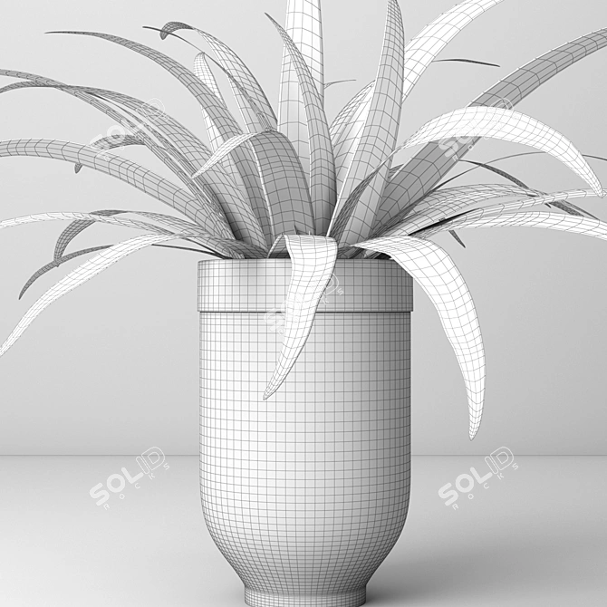 Versatile Spider Plant: Indoor & Outdoor 3D model image 3