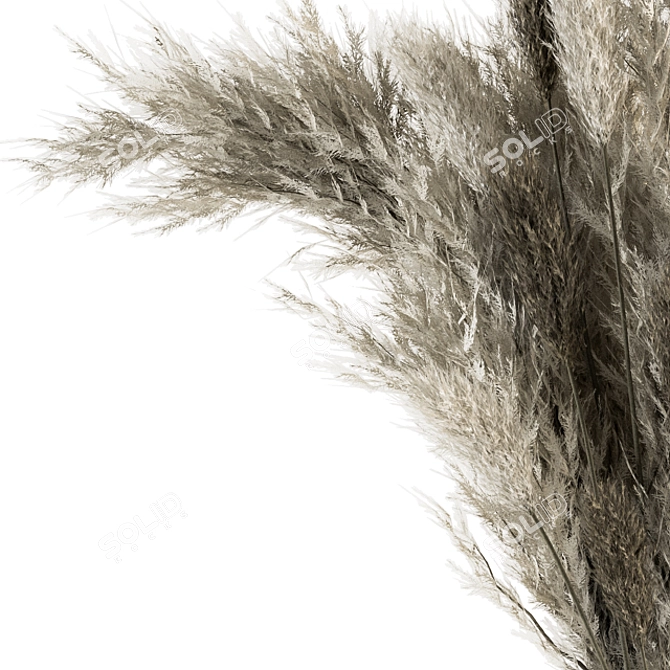 Boho Blooms: Dried Pampas Grass 3D model image 3