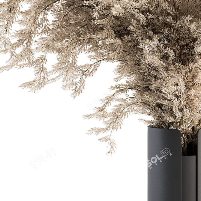 Pampas Dream - Dry Plant 49 3D model image 2