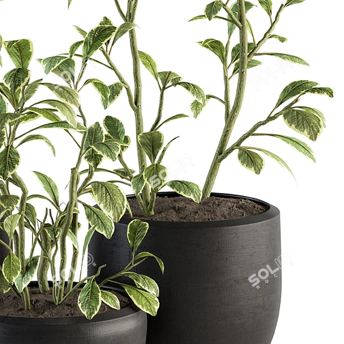 134-Piece Indoor Plant Set 3D model image 3