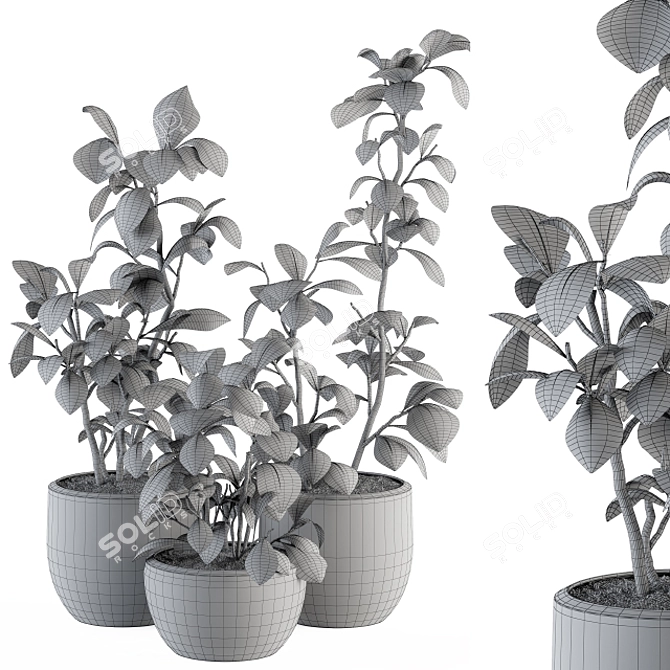 134-Piece Indoor Plant Set 3D model image 4