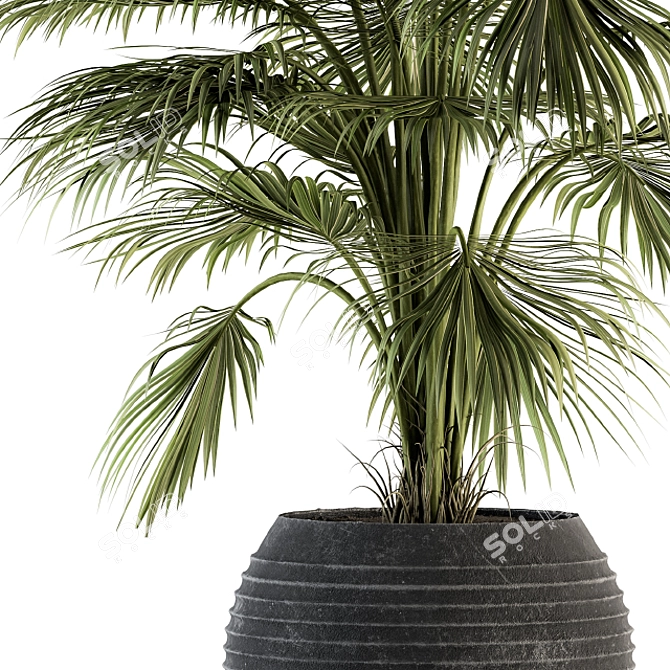 Tropical Oasis Indoor Plant Set 3D model image 2