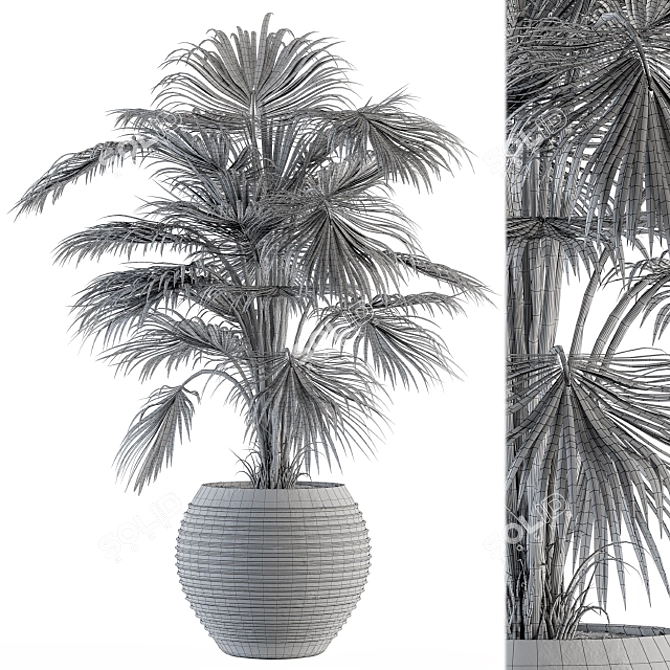 Tropical Oasis Indoor Plant Set 3D model image 4