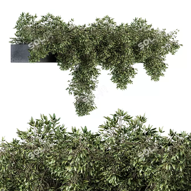 Ivy Plant Set: Outdoor Elegance 3D model image 1