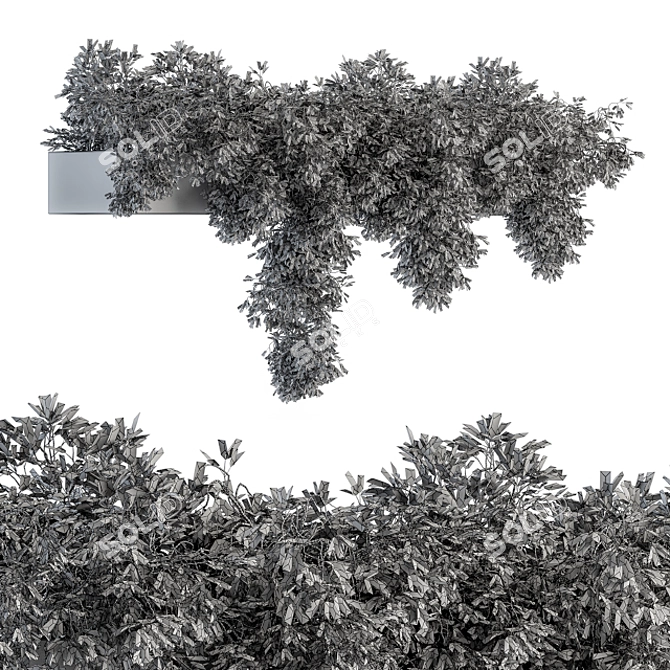 Ivy Plant Set: Outdoor Elegance 3D model image 4