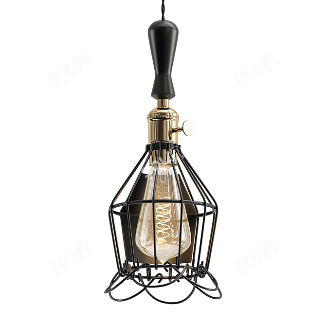 Rustic Wire Cage Pendant Light 3D model image 1