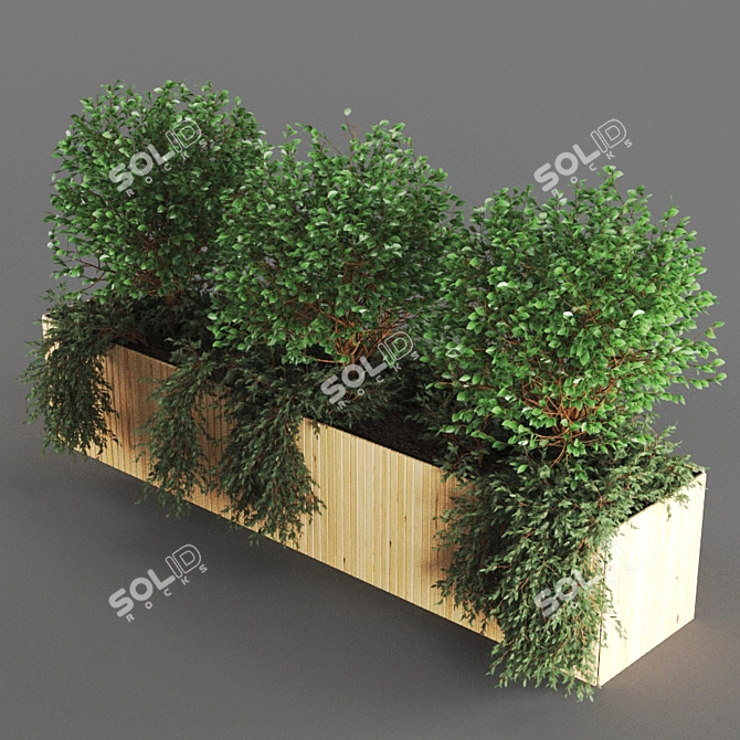 Botanical Bliss: Plant1215 3D model image 2