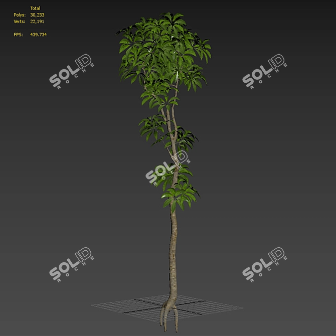  Stunning Plumeria Tree 3D Model 3D model image 2