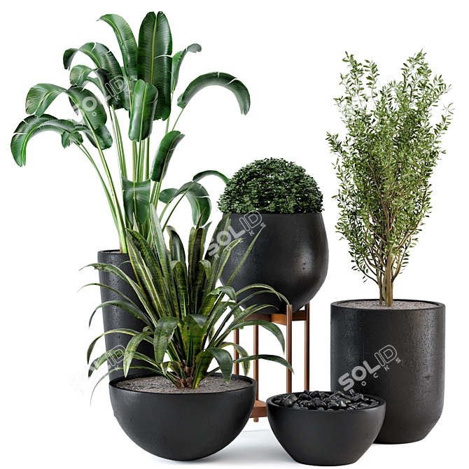 Rustic Concrete Pot Set: 25 Outdoor Plants 3D model image 1