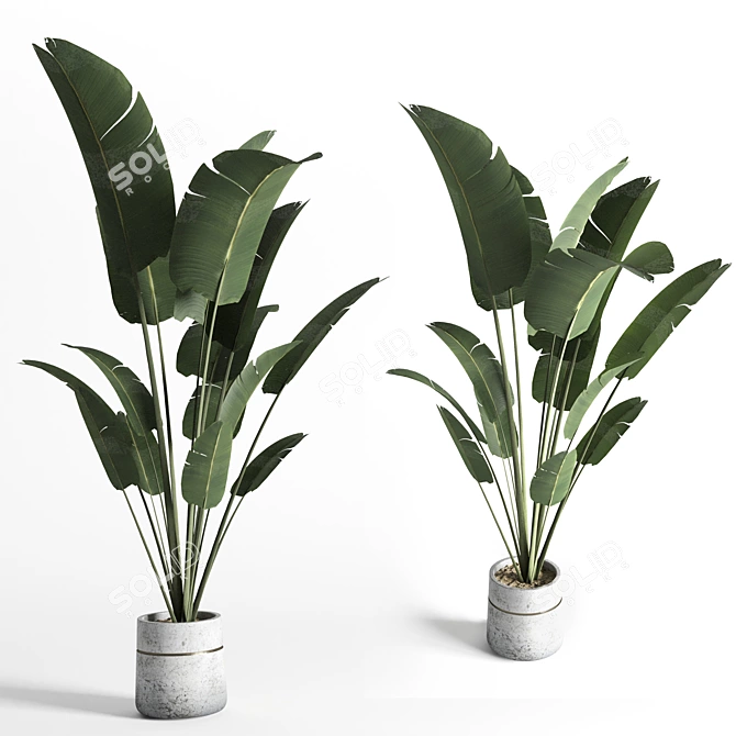 Greenery Delight: Indoor Plant 02 3D model image 1