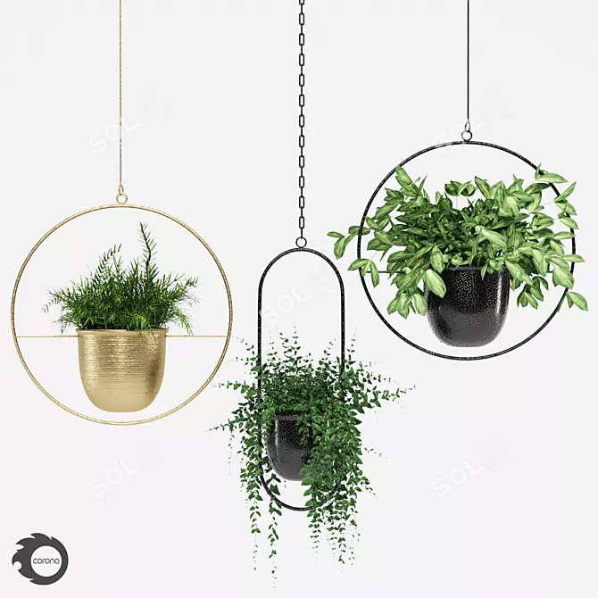 Indoor Hanging Plant Trio 3D model image 1
