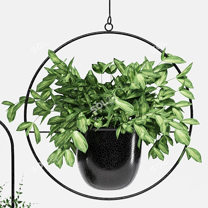 Indoor Hanging Plant Trio 3D model image 3