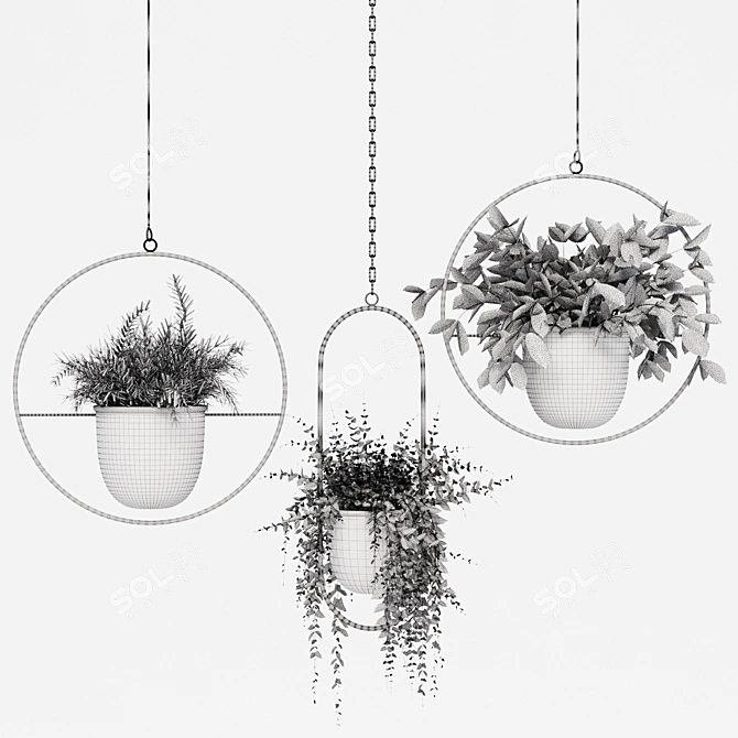 Indoor Hanging Plant Trio 3D model image 4