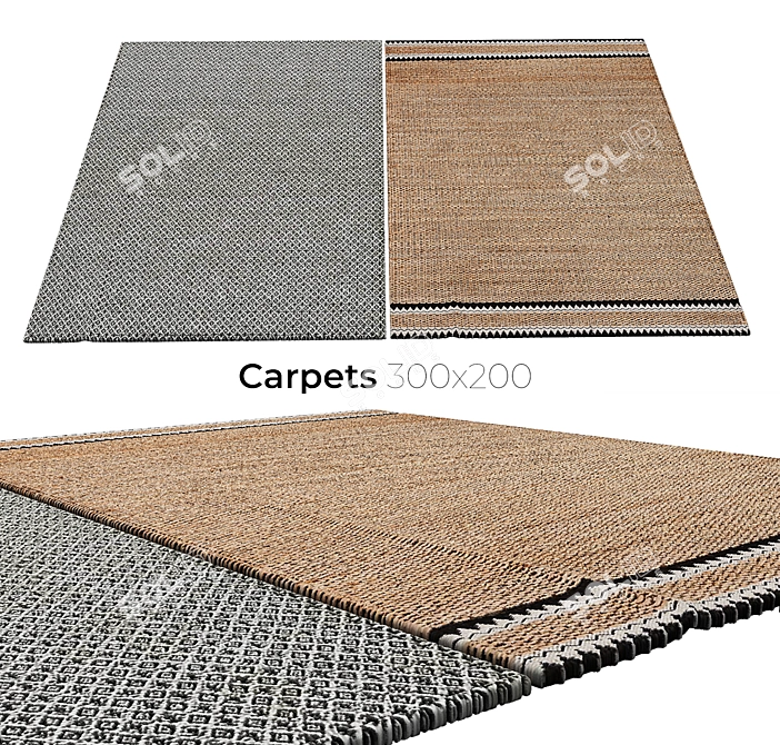 Luxury Persian Carpets: Elegant and Timeless 3D model image 1