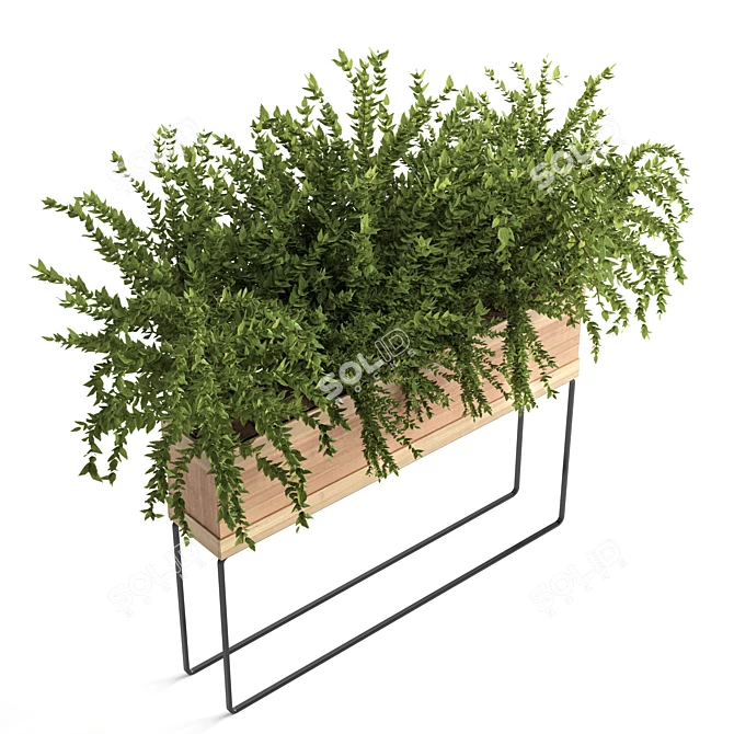Natural Green Outdoor Plant 3D model image 2