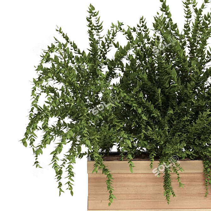 Natural Green Outdoor Plant 3D model image 3