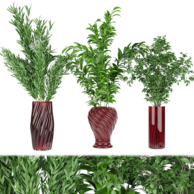 Premium Plant Collection Vol. 65 3D model image 1