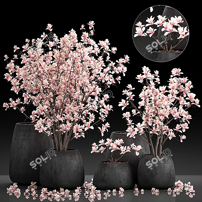 Exotic Magnolia Collection for Indoor and Outdoor Spaces 3D model image 1