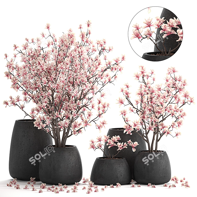 Exotic Magnolia Collection for Indoor and Outdoor Spaces 3D model image 2