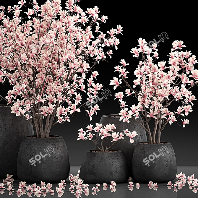 Exotic Magnolia Collection for Indoor and Outdoor Spaces 3D model image 3