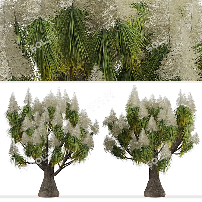 Succulent Trio: Ponytail Palm Trees 3D model image 3