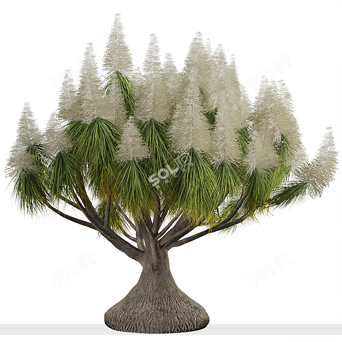 Succulent Trio: Ponytail Palm Trees 3D model image 5