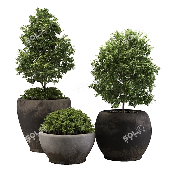 Minimal Outdoor Plant 3D Model 3D model image 1