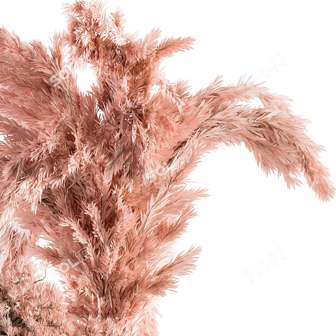 Pink Pampas: Beautiful Dried Plant 3D model image 3