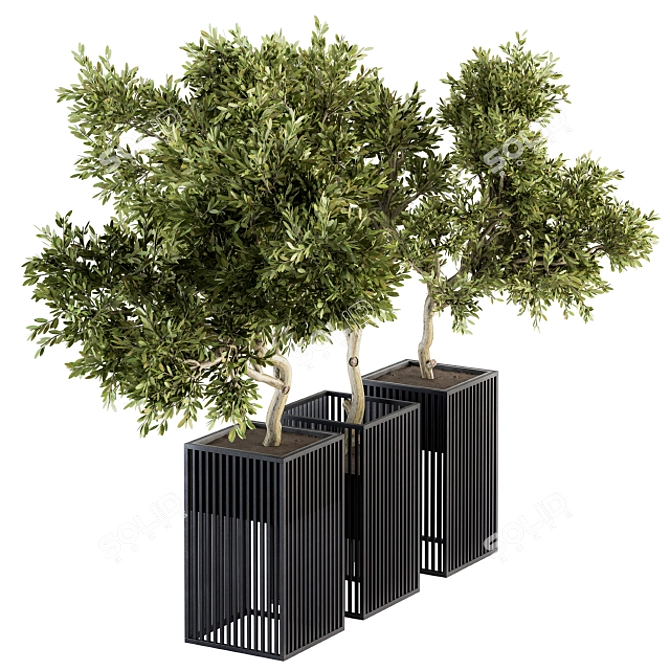 Metal Pot Outdoor Plants Set 3D model image 1