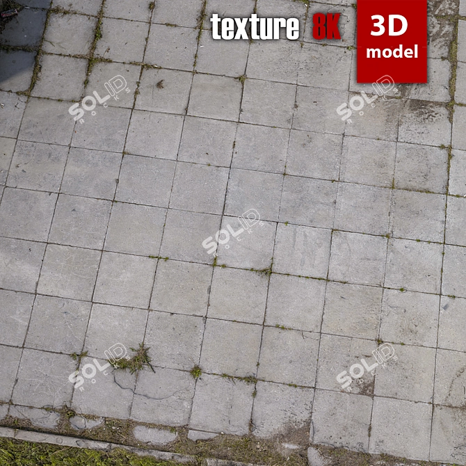 Highly Detailed 3D Platform 3D model image 4