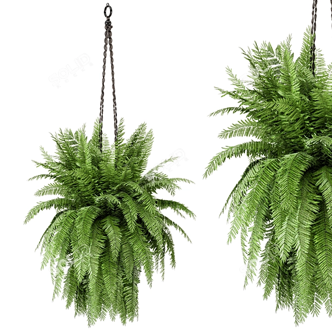 Rustic Concrete Pot with Macrame for Indoor Plants 3D model image 3