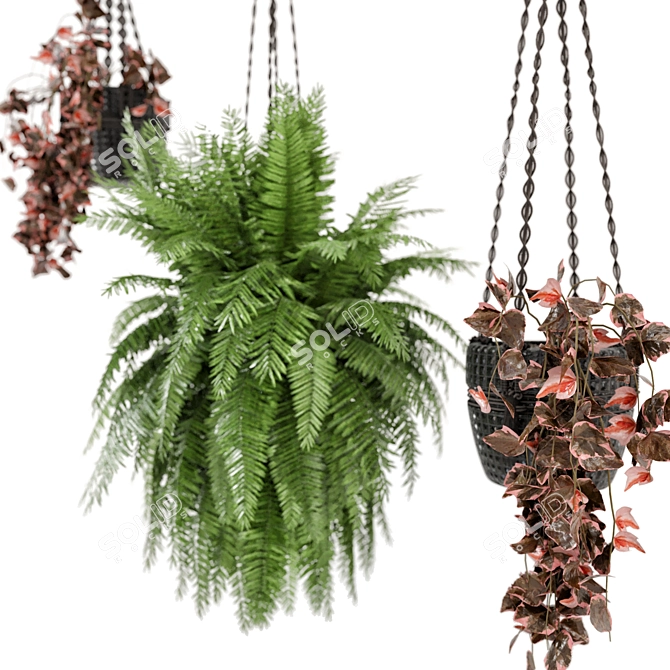 Rustic Concrete Pot with Macrame for Indoor Plants 3D model image 4