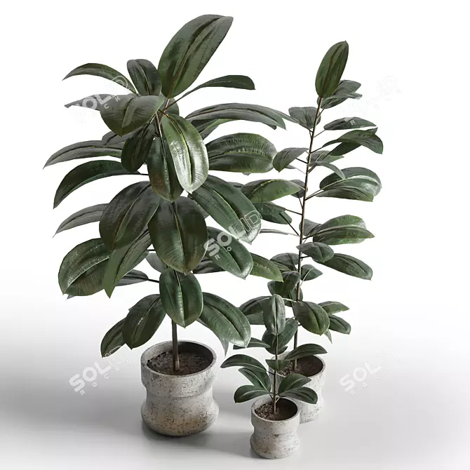 Elegant Indoor Plant Decor 3D model image 1