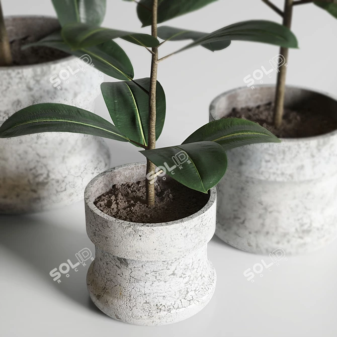 Elegant Indoor Plant Decor 3D model image 2