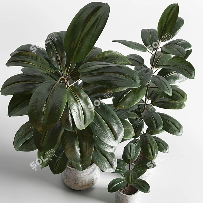 Elegant Indoor Plant Decor 3D model image 3