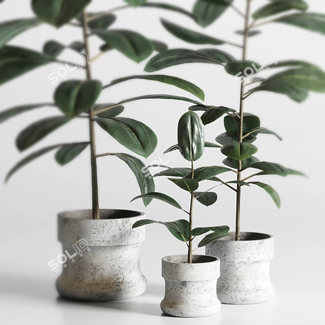 Elegant Indoor Plant Decor 3D model image 4