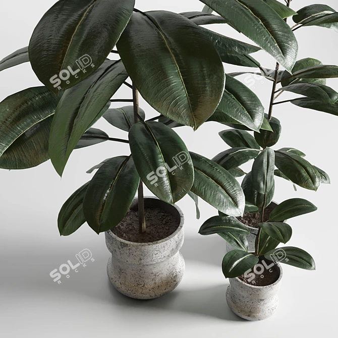 Elegant Indoor Plant Decor 3D model image 5